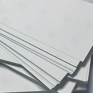 C1S مجلس العاج/FBB