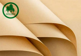 إرشادات لاختيار ورق أساس عالي الجودة مقاوم للشحوم