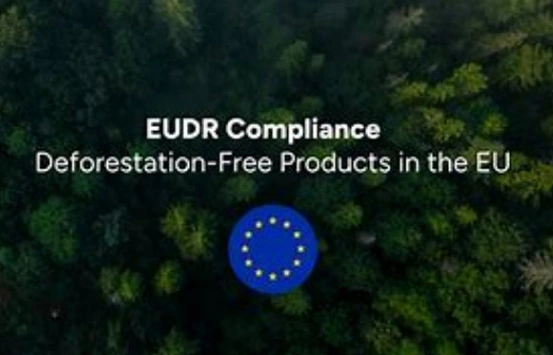 EUDR-فرص جديدة لشركات الورق الصينية في السوق الأوروبي