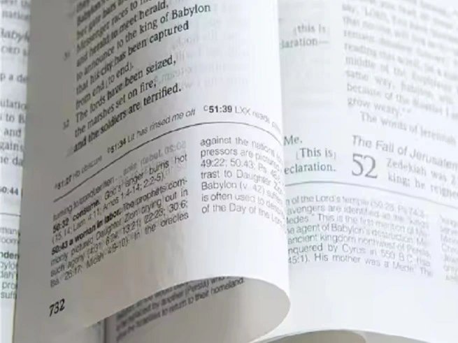 ورق ذهبي: 28-60 جم ورق الكتاب المقدس الممتاز