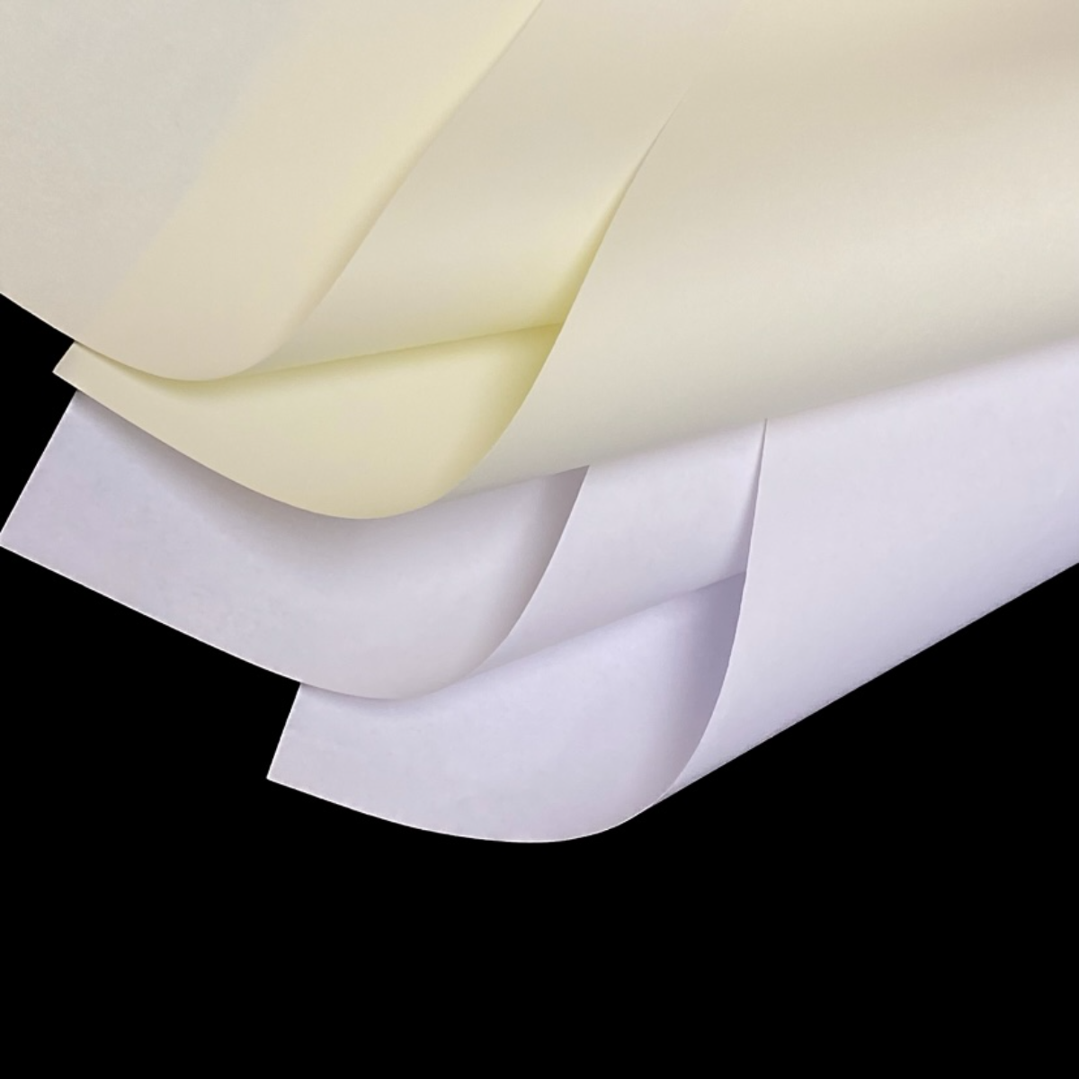 双胶纸2.png 双胶纸2.png