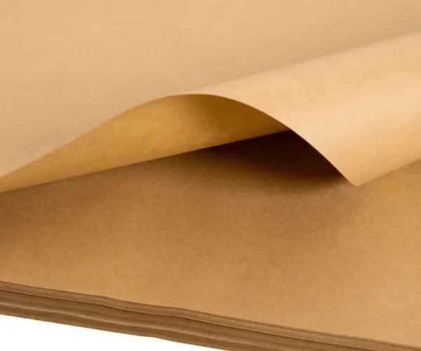 اللب المبيض مقابل اللب غير المبيض: أي واحد يجب عليك اختياره ؟