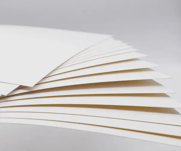 كبريتات مبيضة صلبة (SBS) مقابل لوح صندوق قابل للطي (FBB): ما الفرق في ورق مقوى للتعبئة ؟