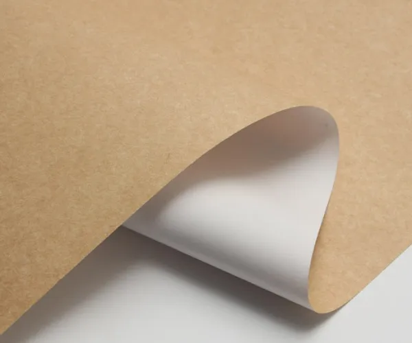 لماذا أصبح CKB أكثر شعبية