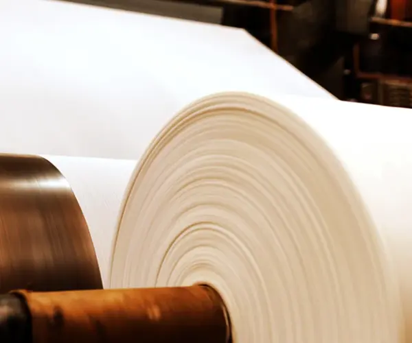 ما هو الفرق بين اللب والورق ؟