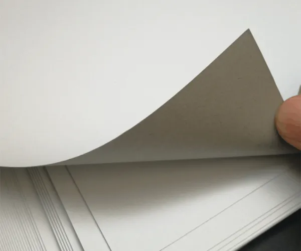 لوح مزدوج مقابل لوح صندوق قابل للطي: مقارنة متعمقة