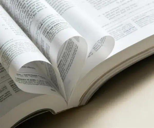 ورق الكتاب المقدس مقابل الورق العادي